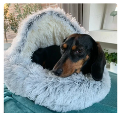 2-in-1 Foldable Pet Bed – Convertible Dog & Cat Sofa Cushion Bed