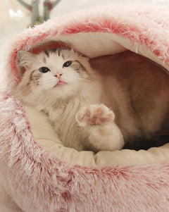 2-in-1 Foldable Pet Bed – Convertible Dog & Cat Sofa Cushion Bed